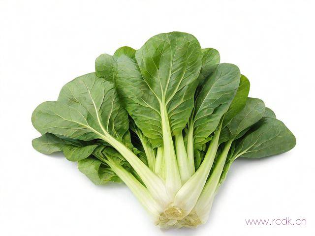 菜五笔怎么打不出来,菜五笔怎么打的