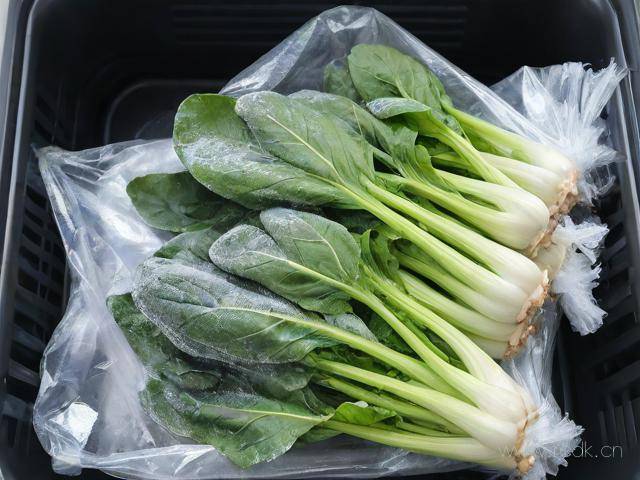 地菜怎么保存时间长,地菜在冰箱放多久就不能吃了