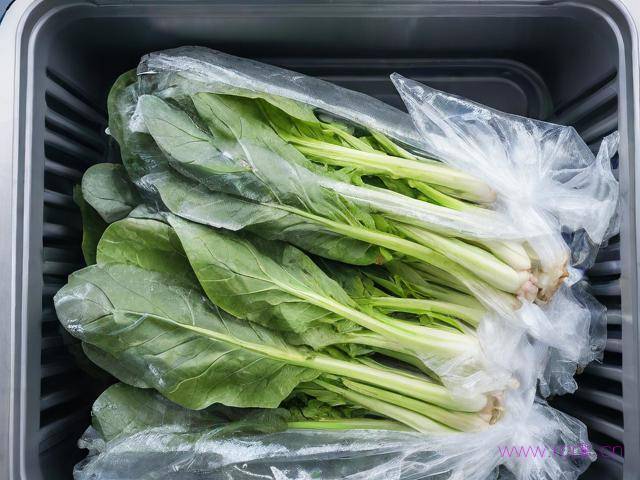 地菜怎么保存时间长,地菜在冰箱放多久就不能吃了
