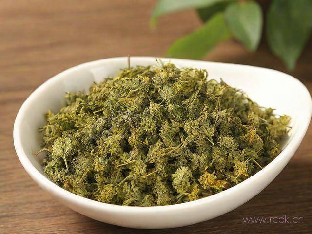 香茶菜怎么用,香茶菜作用