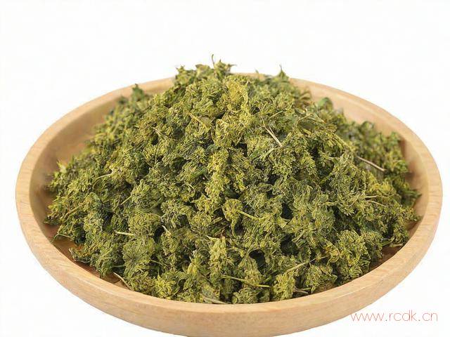 香茶菜怎么用,香茶菜作用