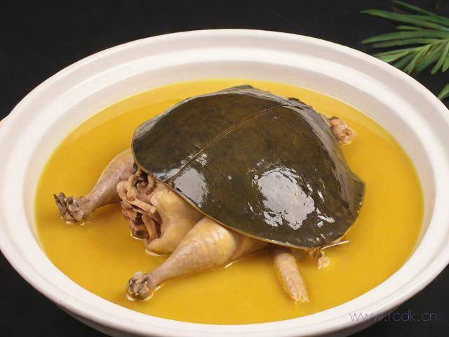 菜怎么做的视频,霸王别姬这道菜怎么做的视频