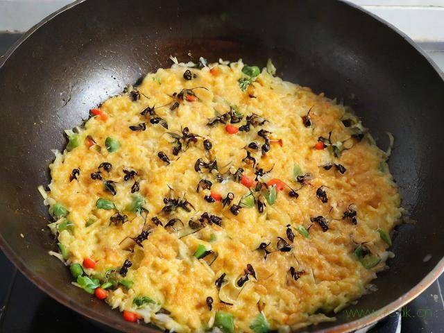 蚂蚁菜怎么做才好吃,蚂蚁菜怎么做好吃视频教程