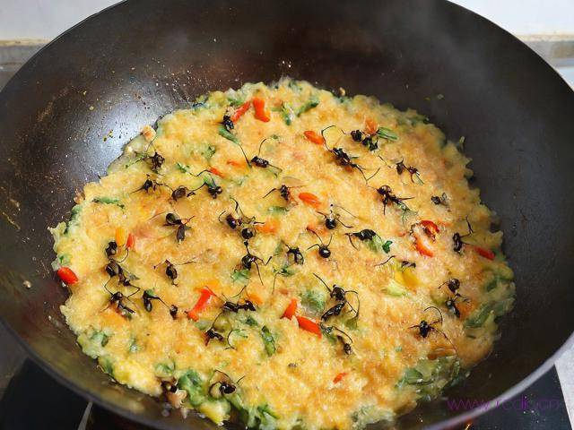 蚂蚁菜怎么做才好吃,蚂蚁菜怎么做好吃视频教程