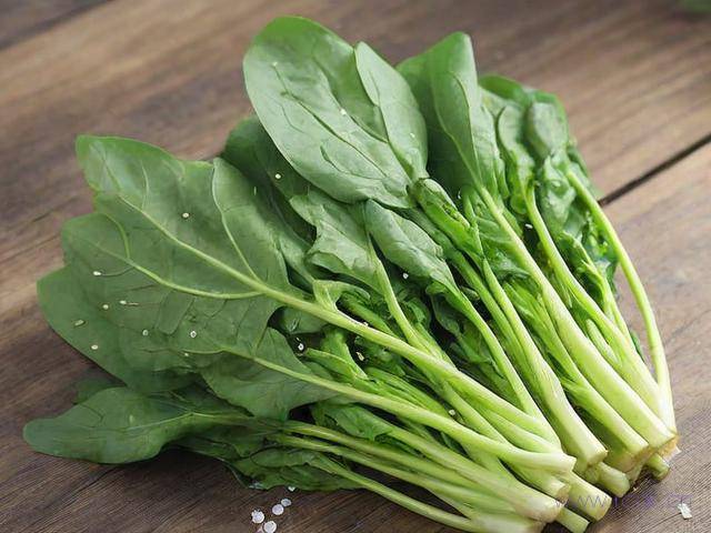 苦荬菜怎么吃,苦荬菜吃多少合适