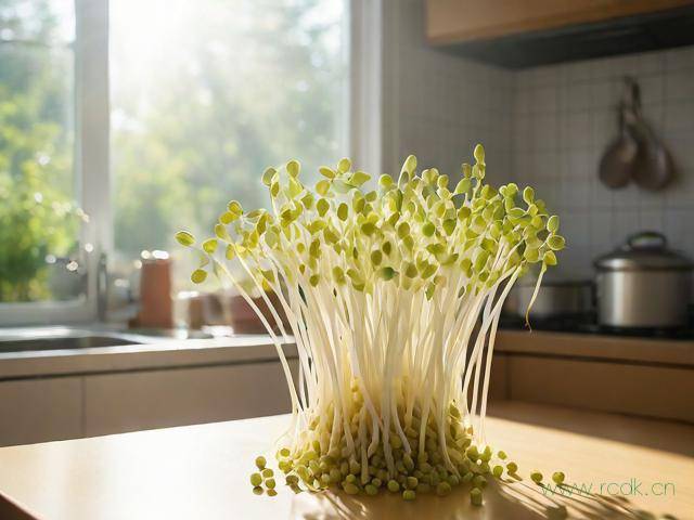 在家怎么生绿豆芽菜,自家怎样生绿豆芽菜窍门
