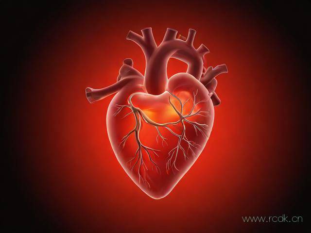 酒精心脏病怎么治疗,酒精心脏病的早期症状