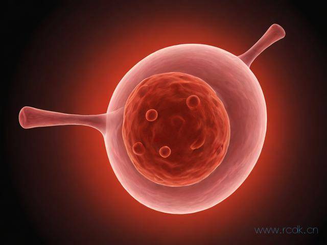 艾滋病窗口期症状怎么治,艾滋病窗口期会有什么症状