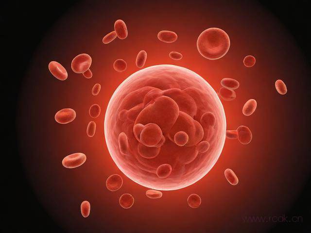 什么是白血病怎么回事,什么叫白血病 白血病是如何形成