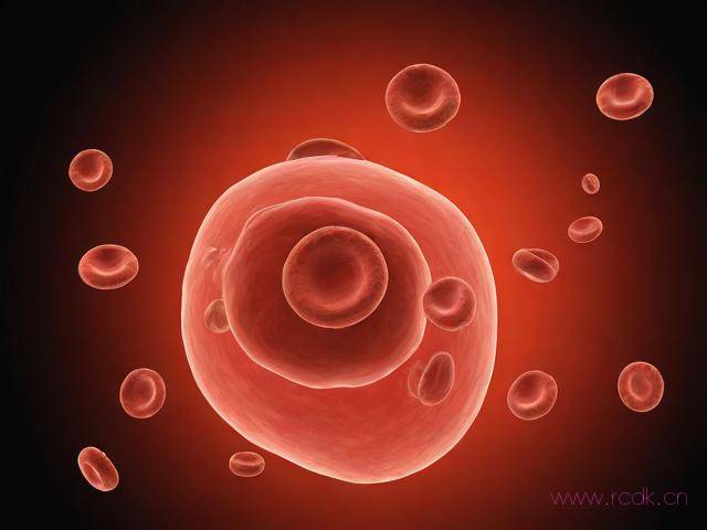 什么是白血病怎么回事,什么叫白血病 白血病是如何形成