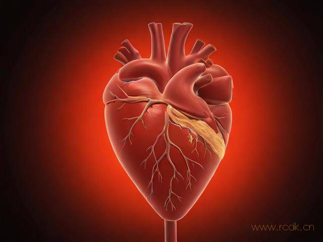 心脏病心肌肥大怎么治,心脏病心肌肥大怎么治疗