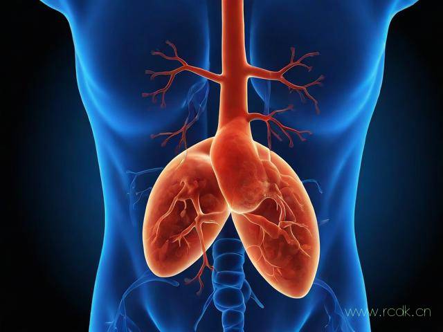 肠外阿米巴病怎么感染,肠外阿米巴病可查到阿米巴的哪一阶段