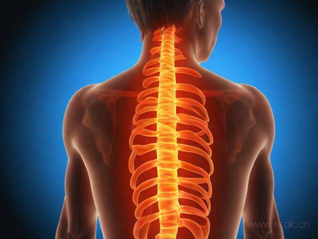 颈椎病怎么样艾灸,颈椎病怎样艾炙