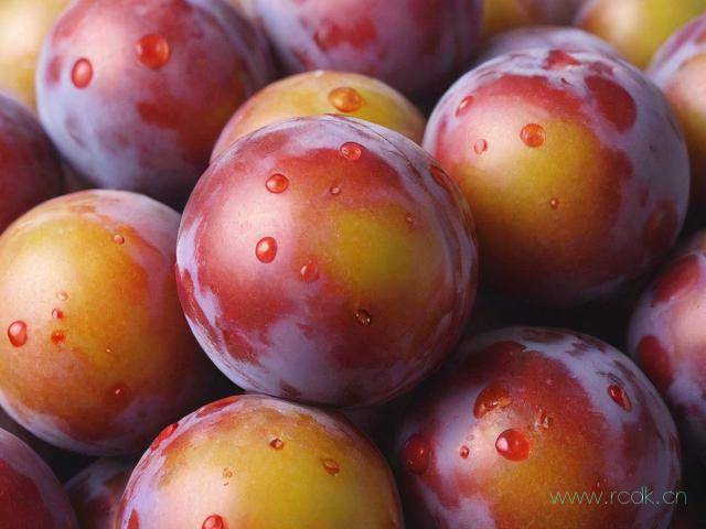 李子穿孔病怎么治疗,李子穿孔病与红点病的区别图片