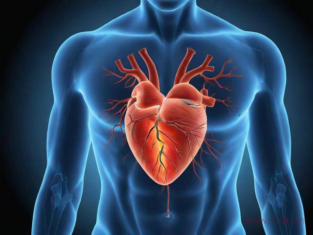 限制型心肌病应怎么办,限制型心肌病诊断标准