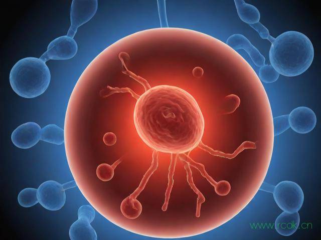 血吸虫病怎么治疗,血吸虫病怎么治疗最有效