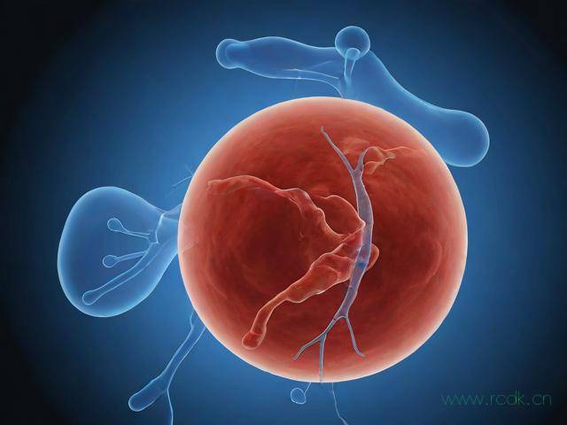 血吸虫病怎么治疗,血吸虫病怎么治疗最有效