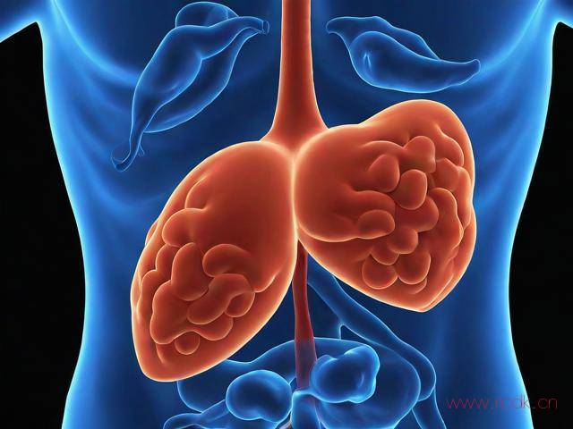 肝包虫病怎么得的,肝包虫病怎么引起的