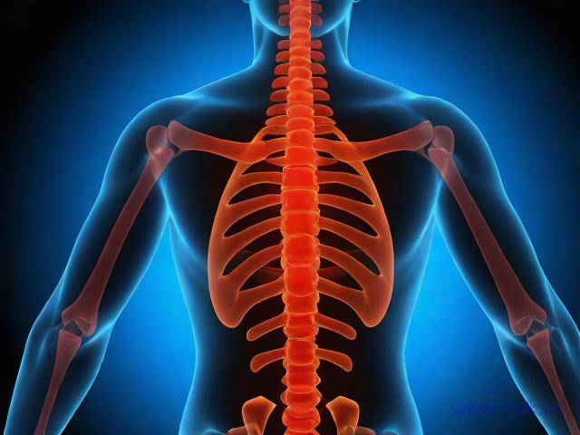 强直性颈椎病怎么好,强直性颈椎炎的症状能不能治好