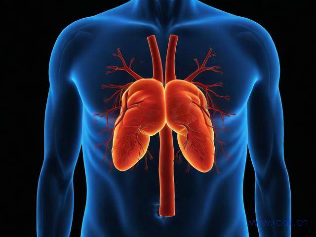 肾脏病怎么引起的,肾脏病由什么引起的