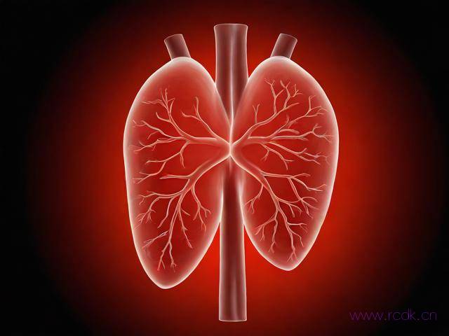 肾脏病怎么引起的,肾脏病由什么引起的